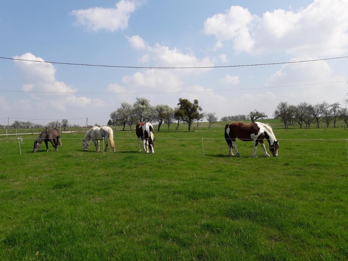 Gite La Besse, Claudon Exterior foto