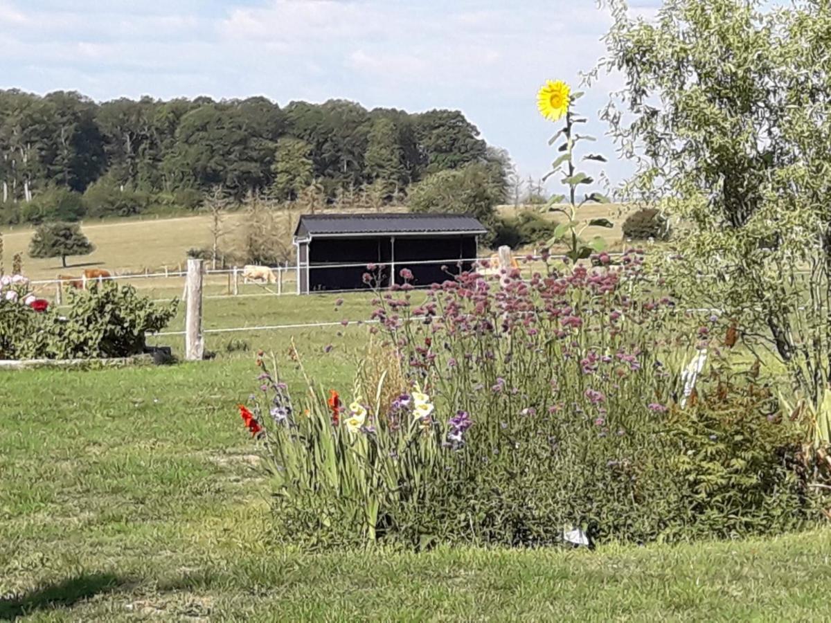 Gite La Besse, Claudon Exterior foto